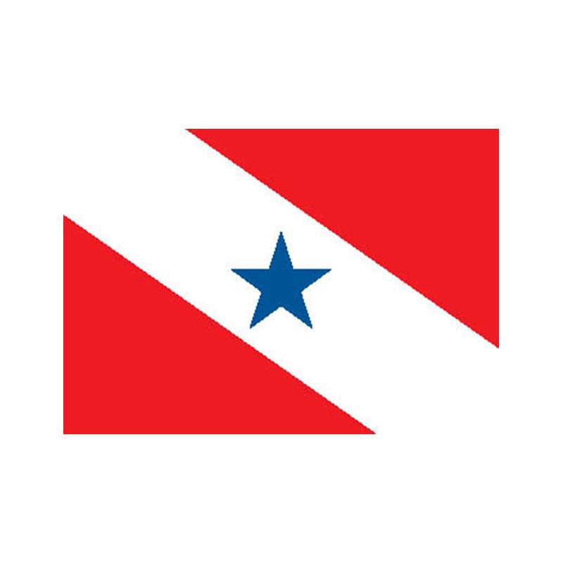 Para State Flag N4806 A4 Photo Print