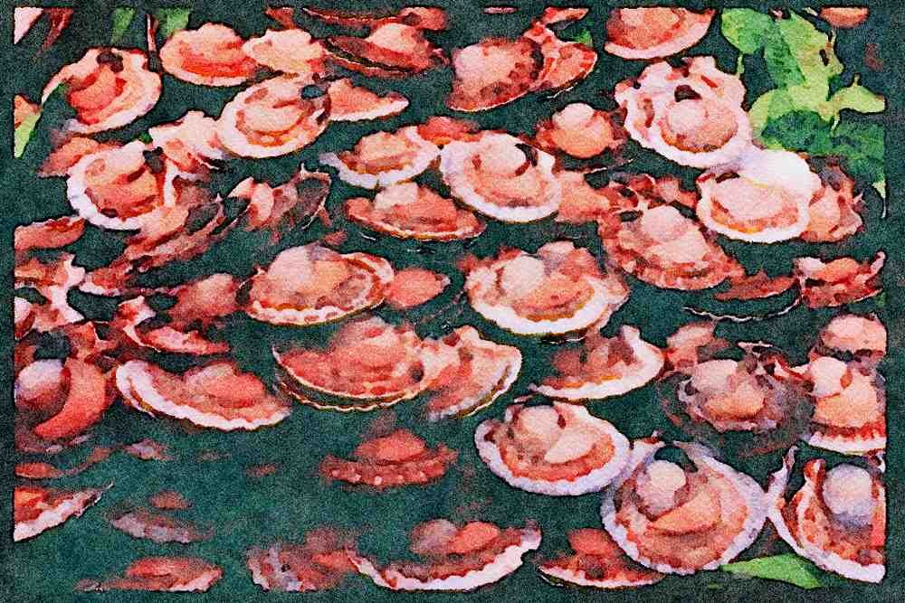 Paris visit 223079 Shellfish For Sale In The Sunday Market In Neuilly, Paris A4 Limited Edition Watercolour Print