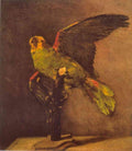 Parrot Van Gogh A4 Photo Print