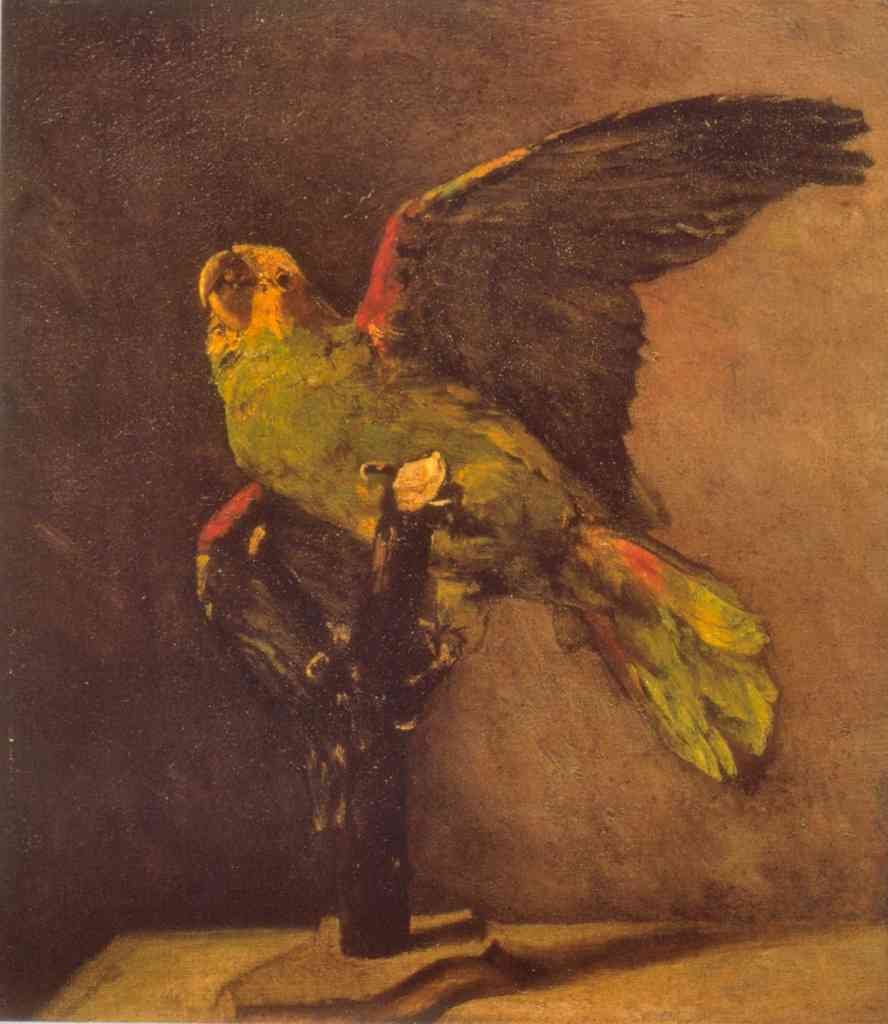 Parrot Van Gogh A4 Photo Print