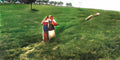 Pasquale Celommi pasquale celommi primavera celommip 12 Art A4 Photo Print