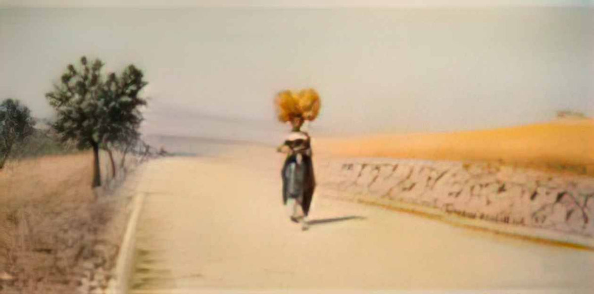 Pasquale Celommi pasquale celommi summer estate 1901 Art A4 Photo Print