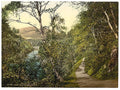 Pass of Killiecrankie Queens View I Vintage A4 Photo Print