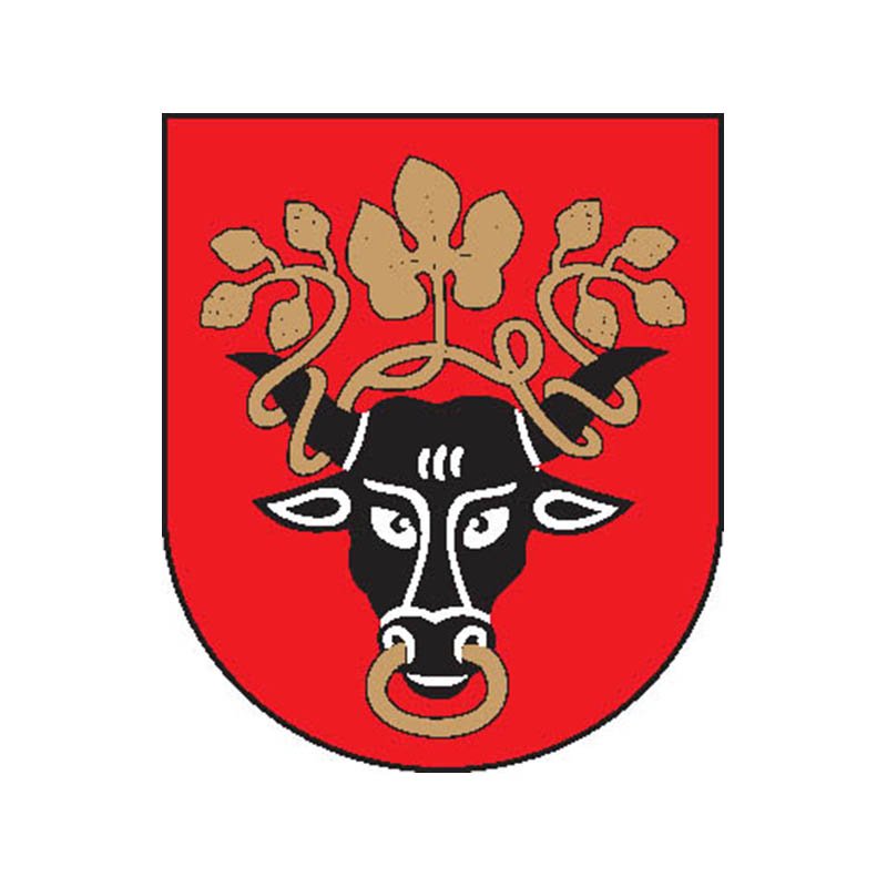 Pasvalys City Coat Of Arms N394 A4 Photo Print