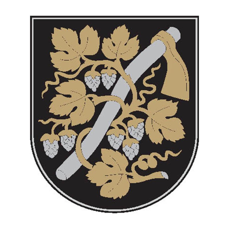 Pasvitinys City Coat Of Arms N475 A4 Photo Print