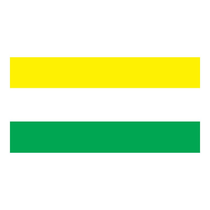 Patate Canton Flag N6113 A4 Photo Print