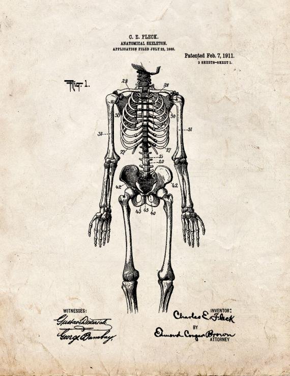 Patent Blueprint 3626 1 12 A4 Photo Print