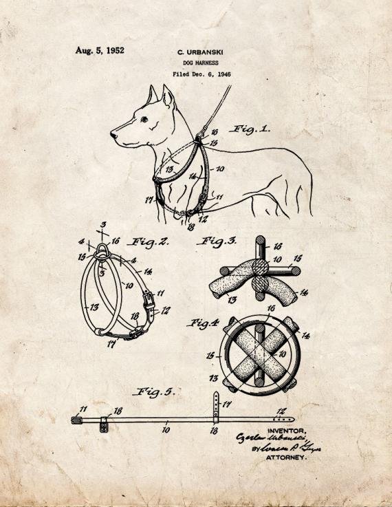 Patent Blueprint 5264 1 12 A4 Photo Print