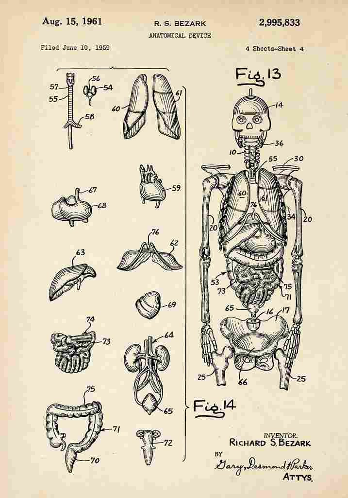 Patent Blueprint AnatomicalDevice A4 Photo Print