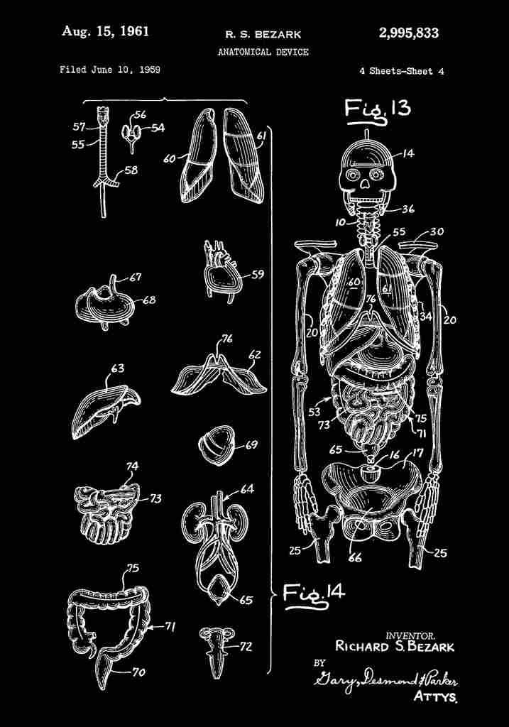 Patent Blueprint AnatomicalDevice black A4 Photo Print