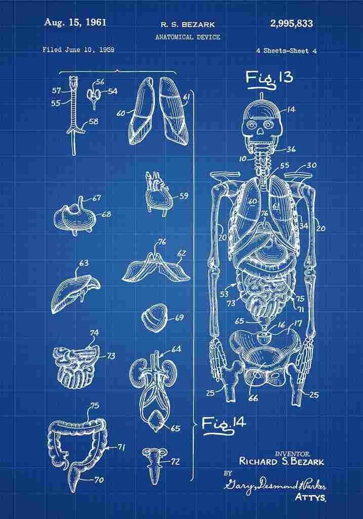 Patent Blueprint AnatomicalDevice blue A4 Photo Print