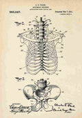 Patent Blueprint AnatomicalSkeleton A4 Photo Print
