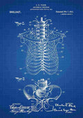 Patent Blueprint AnatomicalSkeleton blue A4 Photo Print
