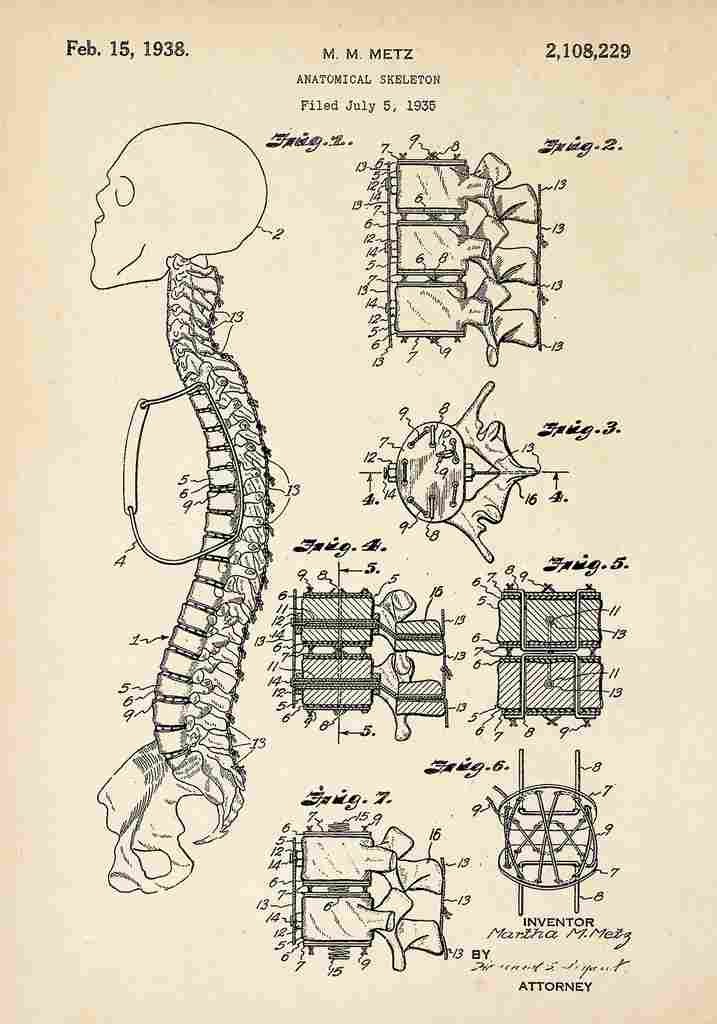 Patent Blueprint AnotomicalSkeleton A4 Photo Print