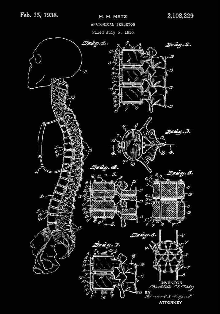 Patent Blueprint AnotomicalSkeleton black A4 Photo Print