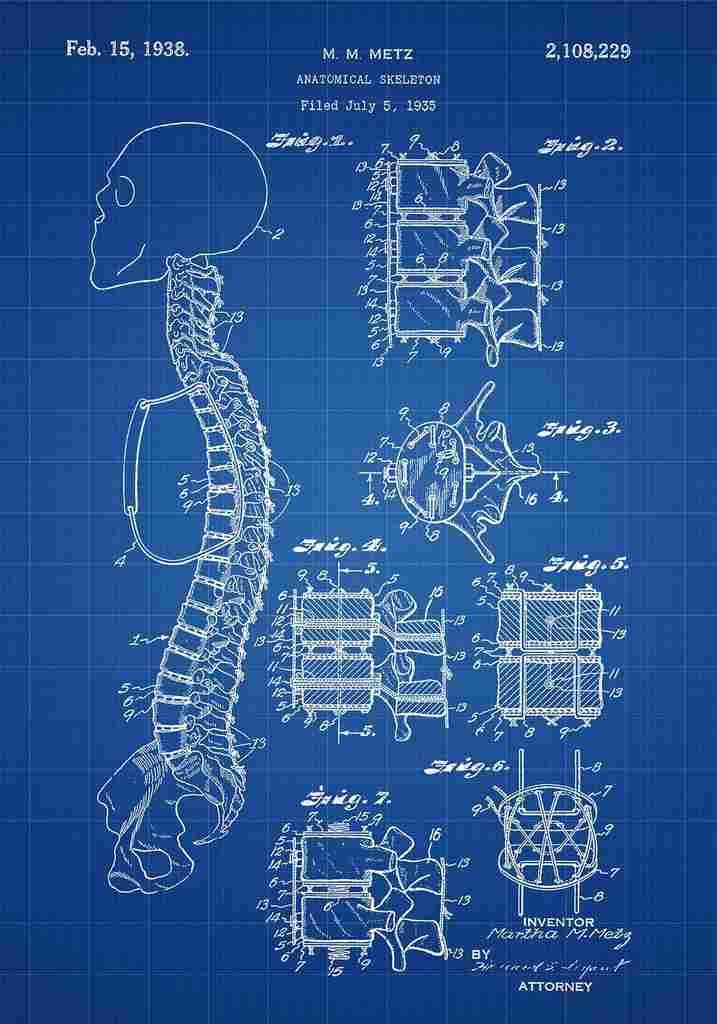 Patent Blueprint AnotomicalSkeleton blue A4 Photo Print