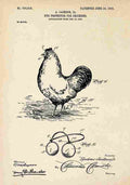 Patent Blueprint ChickenEyeProtector A4 Photo Print