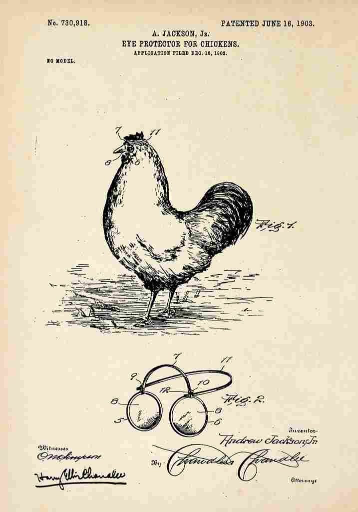 Patent Blueprint ChickenEyeProtector A4 Photo Print