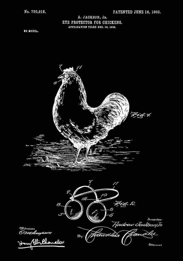 Patent Blueprint ChickenEyeProtector Black A4 Photo Print
