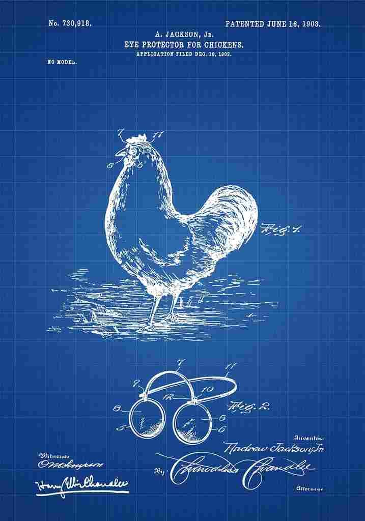 Patent Blueprint ChickenEyeProtector Blue A4 Photo Print