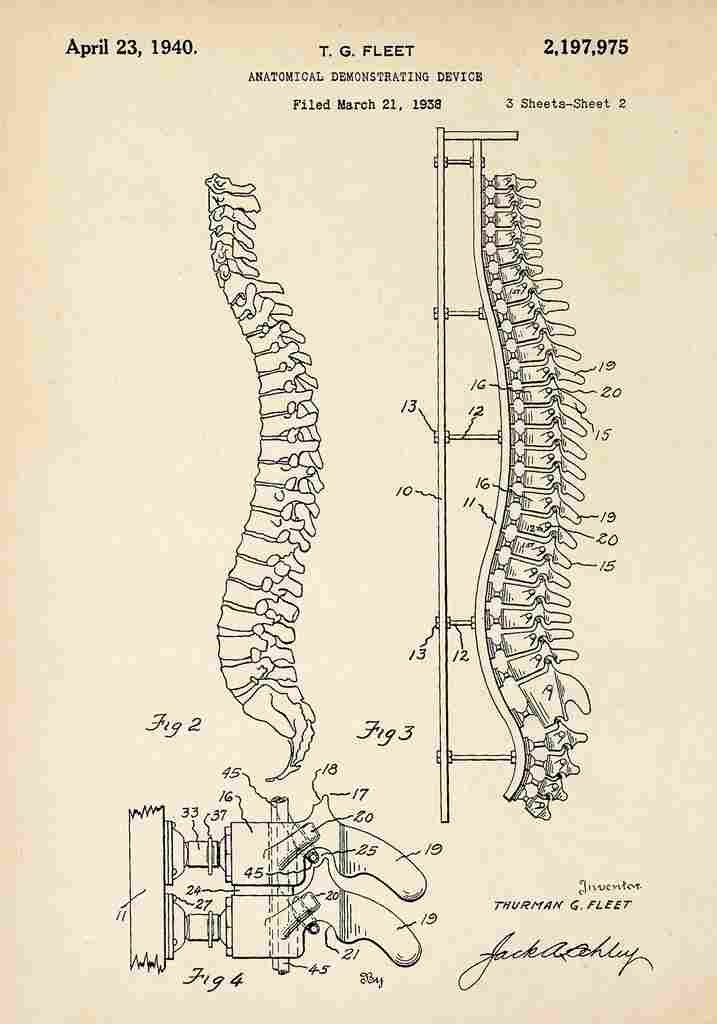 Patent Blueprint Spine A4 Photo Print