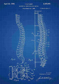 Patent Blueprint Spine blue A4 Photo Print