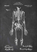 Patent Blueprint anatomical doctors skeleton A4 Photo Print