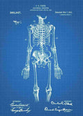 Patent Blueprint anatomical doctors skeleton 3 A4 Photo Print