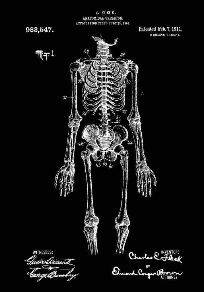 Patent Blueprint calSkeleton black A4 Photo Print