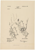 Patent for a Muzzle for Pigs A4 Photo Print