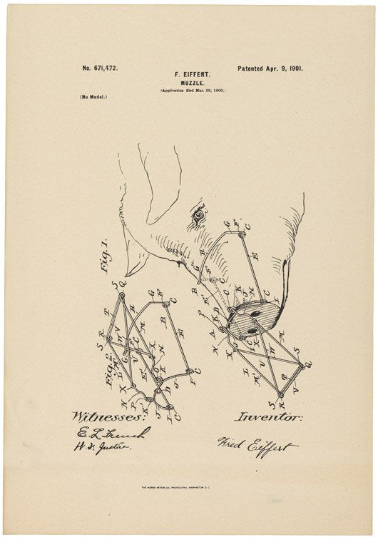 Patent for a Muzzle for Pigs A4 Photo Print