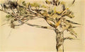Paul Cezanne large pine Art A4 Photo Print