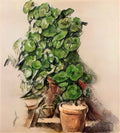 Paul Cezanne pots of geraniums Art A4 Photo Print