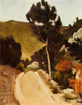 Paul Cezanne road in provence Art A4 Photo Print