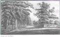 Pavel Svinyin boston mall Art A4 Photo Print