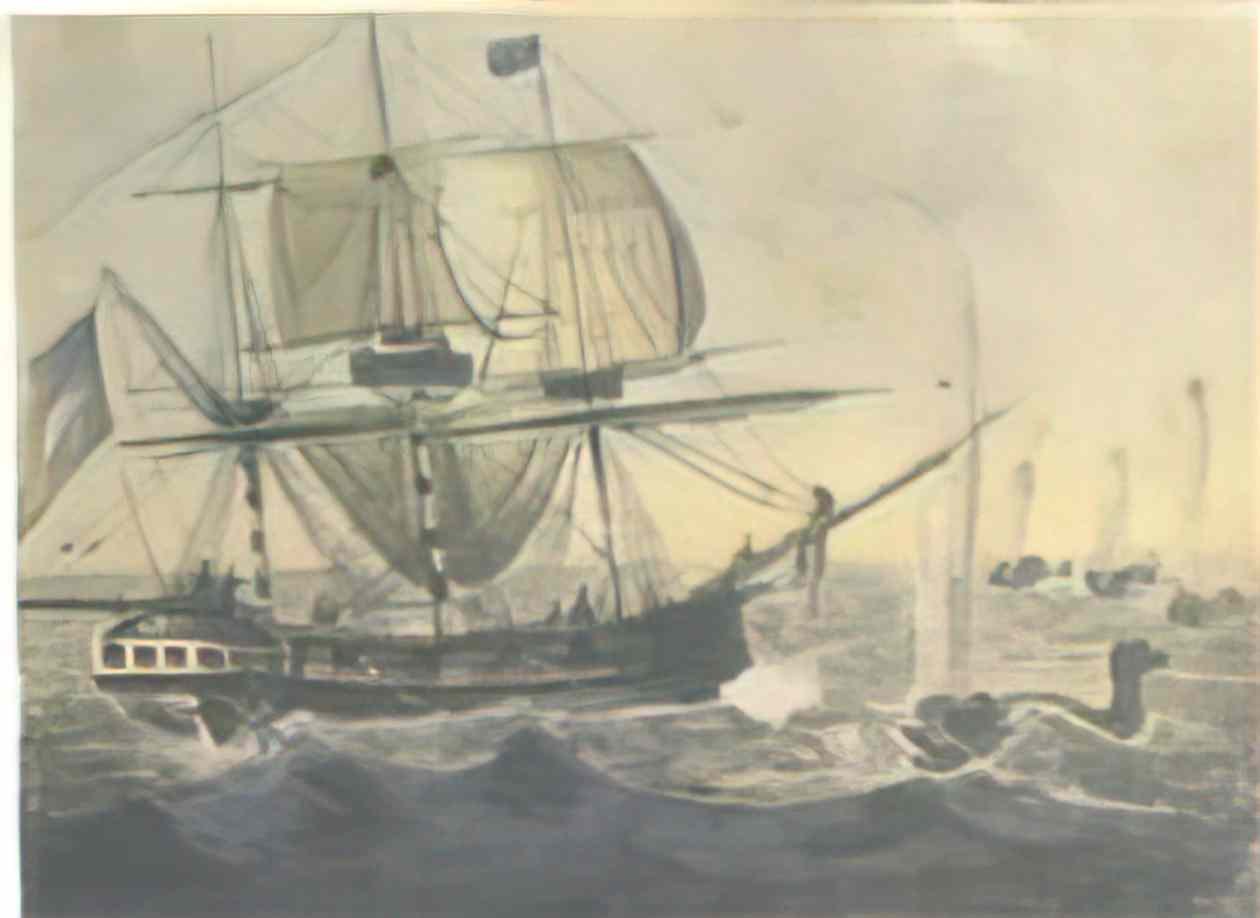 Pavel Svinyin cod fishing Art A4 Photo Print