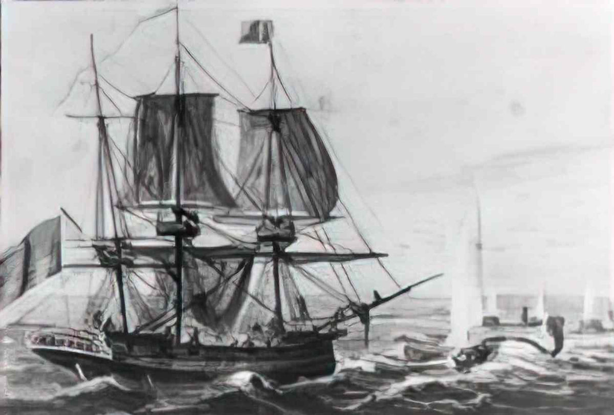 Pavel Svinyin replenishing the ship s larder with codfish off the newfoundland coast Art A4 Photo Print