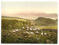 Peace and plenty Vintage A4 Photo Print