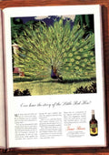 Peacock Whiskey Garden 1930s Vintage Retro Advert Poster
