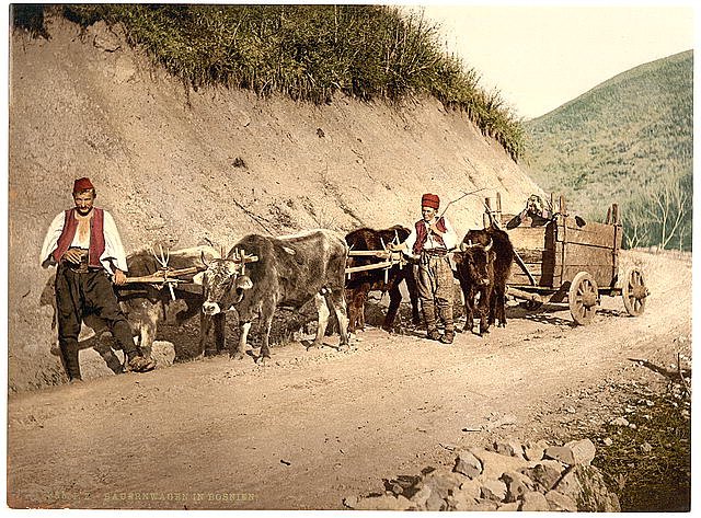 Peasant wagon Bosnia Vintage A4 Photo Print
