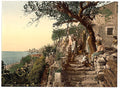Peasants near Trieste Istria Vintage A4 Photo Print