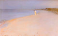 Peder Severin Kroyer summer evening on the beach 1893 Art A4 Photo Print