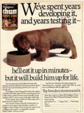 Pedigree Chum Puppy 1970s Vintage Retro Advert