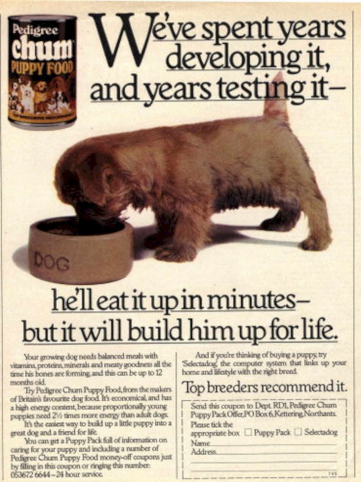 Pedigree Chum Puppy 1970s Vintage Retro Advert
