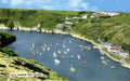 Pembrokeshire Solva Harbour from Gribbin Vintage A4 Photo Print