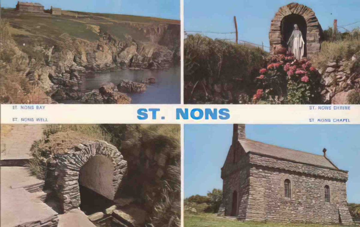 Pembrokeshire St Nons Multiview Vintage A4 Photo Print