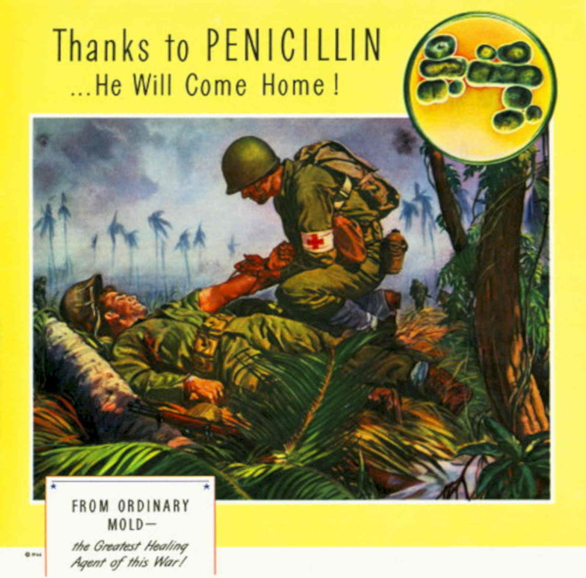 Penicillin Mold Soldier 1940s Vintage Retro Advert Poster