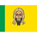 Penza Obl Flag N1402 A4 Photo Print