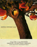 Peppermint Tree Warning 1990s Vintage Retro Advert