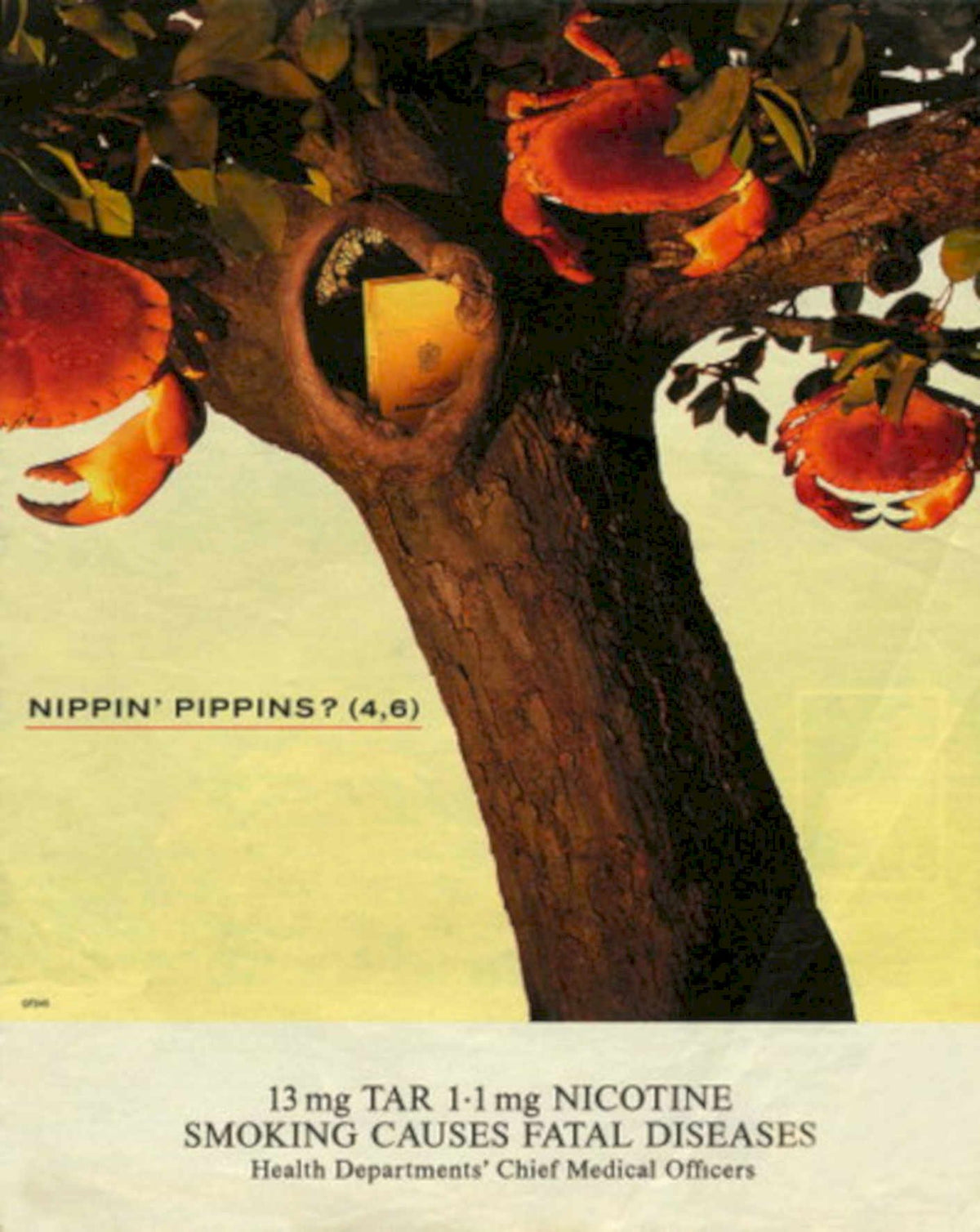 Peppermint Tree Warning 1990s Vintage Retro Advert